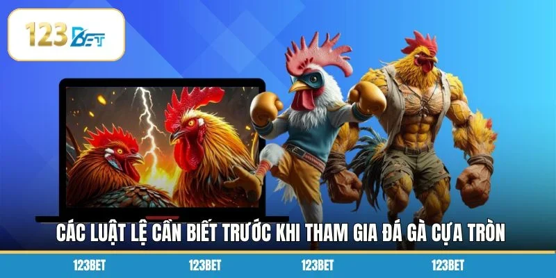 Các luật lệ cần biết trước khi tham gia đá gà cựa tròn