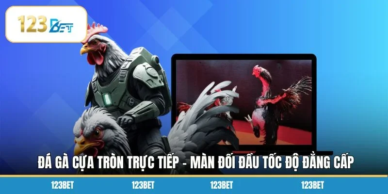 Đá Gà Cựa Tròn Trực Tiếp