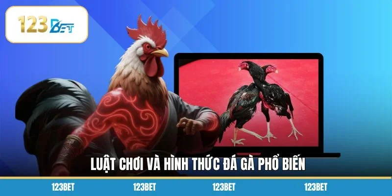 Luật chơi và hình thức đá gà phổ biến